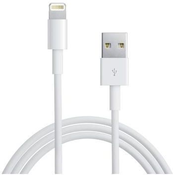 steek vezel Touhou ᐅ • Lightning kabel geschikt voor Apple iPhone 5s - 1 Meter | Eenvoudig bij  GSMOplader.nl