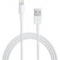 Lightning kabel geschikt voor Apple iPad 9.7 (2017) - 3 Meter 